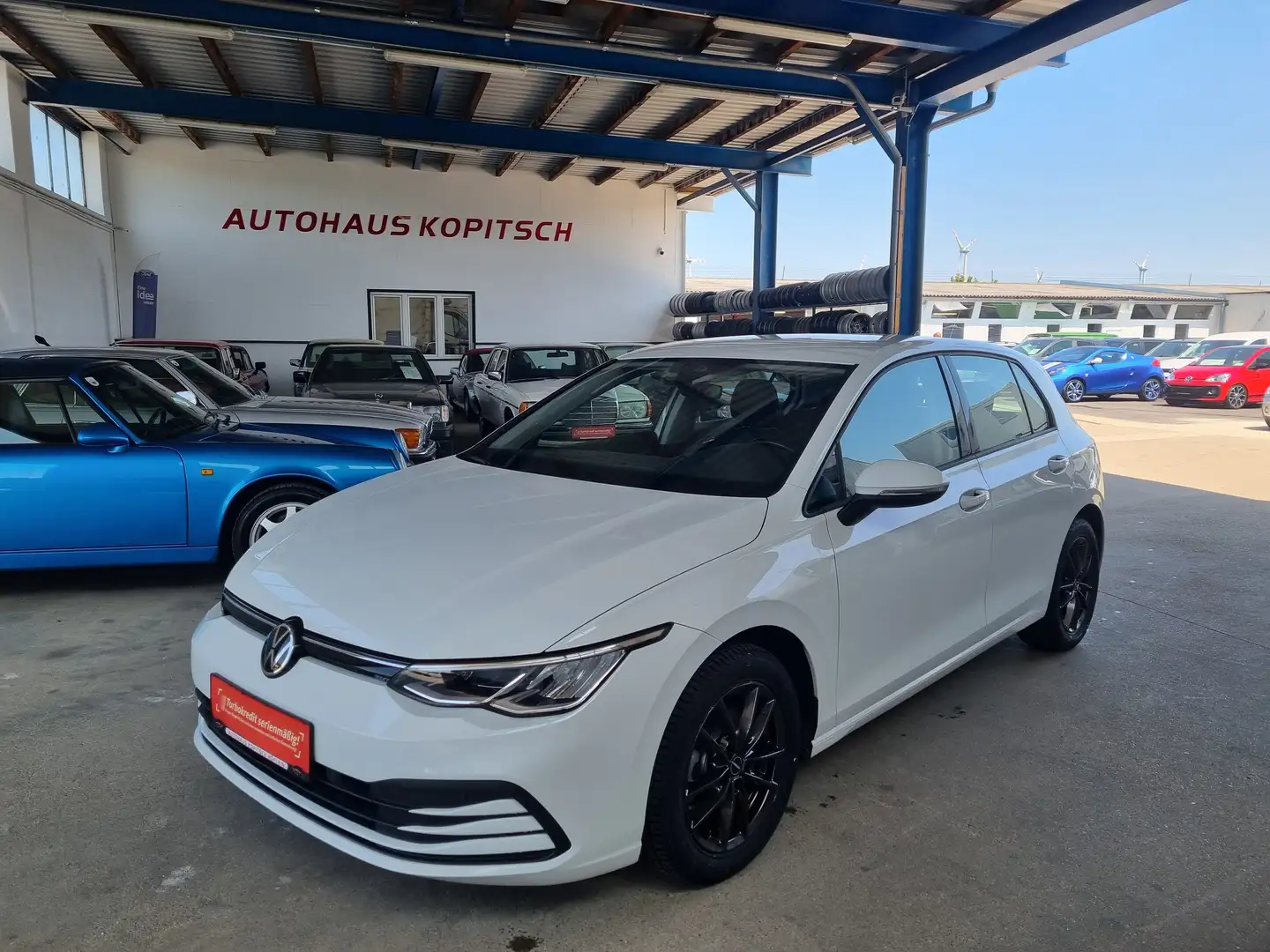 Volkswagen Golf Golf 8 Rabbit 1,0 TSI - Topzustand! Weiß - 1