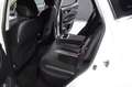 Nissan Qashqai 1.5dCi N-Connecta 4x2 Bianco - thumbnail 11