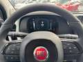 Fiat New Panda PANDINA CROSS HYBRID 1.0cc 70cv Blanc - thumbnail 8