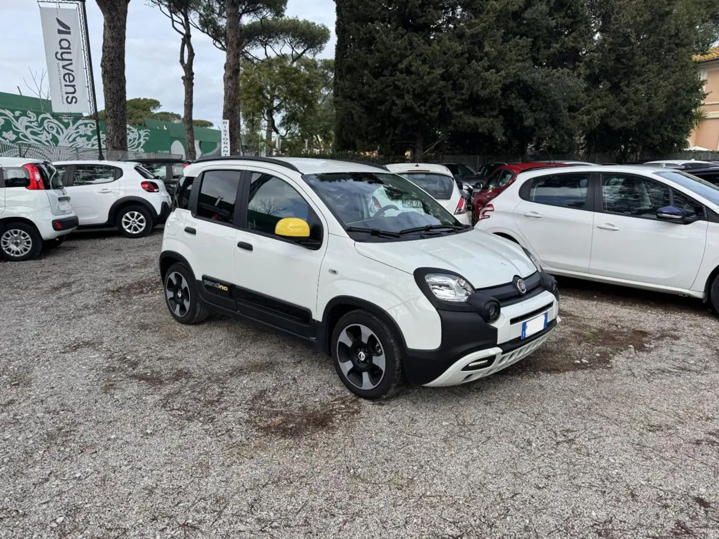 Fiat New Panda PANDINA CROSS HYBRID 1.0cc 70cv Blanc - 1
