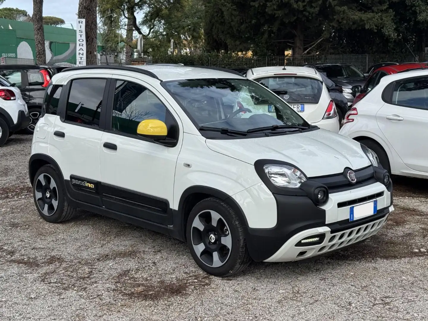 Fiat New Panda PANDINA CROSS HYBRID 1.0cc 70cv Blanc - 2