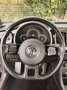 Volkswagen Maggiolino 2.0 tdi bm Design 110cv Schwarz - thumbnail 3