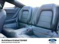 Ford Mustang Convertible GT 5.0 V8 Automatik MagneRide Grau - thumbnail 19