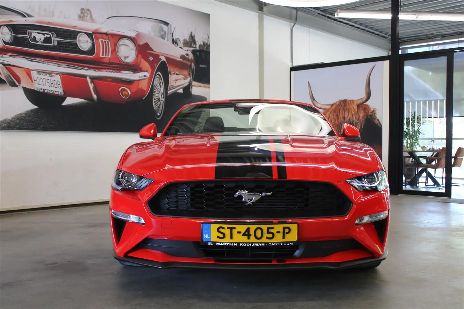 Ford Mustang Convertible 2.3 EcoBoost M6 290pk/213kw Rood - 2
