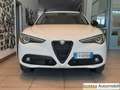 Alfa Romeo Stelvio 2.2 Turbodiesel 190 CV AT8 Q4 B-Tech Weiß - thumbnail 1