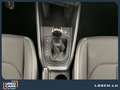 Audi A1 advanced/30TFSI/S-Tronic Grigio - thumbnail 15
