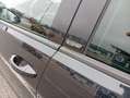 Volkswagen Golf Golf 1.6 TDI 110 BlueMotion Technology FAPAllstar - thumbnail 6