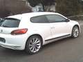 Volkswagen Scirocco 1.4 TSI 118 kW 6 Gang Getriebe 1 Hand White - thumbnail 4