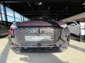 Audi Q4 e-tron 55 e-tron quattro AHZV,SONOS,MATRIX,PANO Violett - thumbnail 14