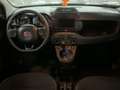 Fiat New Panda PANDA 1.0 MILD-HYBRID Bianco - thumbnail 5