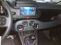 Fiat New Panda PANDA 1.0 MILD-HYBRID Bianco - thumbnail 4