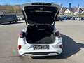 Ford Puma E-Gen 43kWh Bianco - thumbnail 12