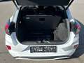 Ford Puma E-Gen 43kWh Bianco - thumbnail 13