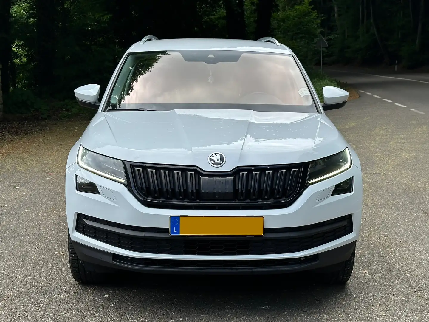 Skoda Kodiaq Kodiaq 2.0 TSI 4x4 DSG 7 PLACES - 2