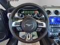 Ford Mustang Fastback 5.0 ti-vct V8 GT 450cv auto my20 Blue - thumbnail 7