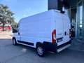 Fiat Ducato maxi 35 CH1 2.3 mjt 160cv AT9 E6d-temp Weiß - thumbnail 4