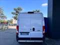 Fiat Ducato maxi 35 CH1 2.3 mjt 160cv AT9 E6d-temp Weiß - thumbnail 5