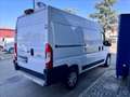 Fiat Ducato maxi 35 CH1 2.3 mjt 160cv AT9 E6d-temp Weiß - thumbnail 6