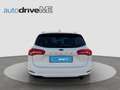 Ford Focus Traveller Trend Edition Business Weiß - thumbnail 4