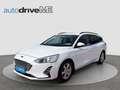 Ford Focus Traveller Trend Edition Business Weiß - thumbnail 1