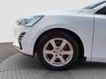 Ford Focus Traveller Trend Edition Business Weiß - thumbnail 18