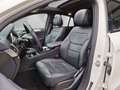 Mercedes-Benz GLE 350 GLE 350 d 4Matic Weiß - thumbnail 31
