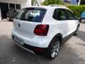 Volkswagen Polo Cross 5p 1.2 TSI 90CV Blanc - thumbnail 4
