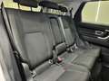 Land Rover Discovery Sport Discovery Sport 2.0 td4 SE awd 150cv Blanc - thumbnail 24