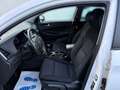 Hyundai TUCSON 1.7 CRDi Business 2WD Weiß - thumbnail 7