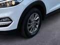 Hyundai TUCSON 1.7 CRDi Business 2WD Weiß - thumbnail 6
