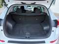 Hyundai TUCSON 1.7 CRDi Business 2WD Weiß - thumbnail 12
