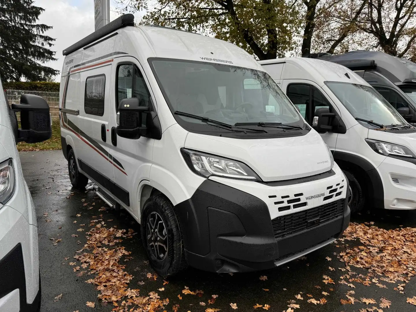 Weinsberg CaraBus 540 MQ Modell 2025 Edition Fire - 1