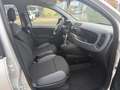 Fiat Panda Panda 1.2 IM AUFTRAG Klima 8-fach bereift Zilver - thumbnail 9
