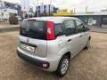 Fiat Panda Panda 1.2 IM AUFTRAG Klima 8-fach bereift Zilver - thumbnail 5