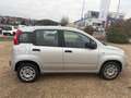 Fiat Panda Panda 1.2 IM AUFTRAG Klima 8-fach bereift Zilver - thumbnail 6