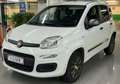 Fiat Panda YOUNG Blanc - thumbnail 7