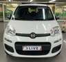 Fiat Panda YOUNG Blanc - thumbnail 5