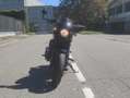 Harley-Davidson Street 750 Harley Davidson Street Rod 750 Nero - thumbnail 4