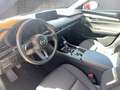 Mazda 3 e-Skyactiv-G122 Exclusive-Line Rot - thumbnail 12