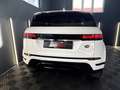 Land Rover Range Rover Evoque 2,0 D150 AWD Aut. 1.Besitz/Led/Kamera/Leder/Winter-Paket Weiß - thumbnail 9
