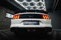Ford Mustang Shelby GT 500 5.0 V8 PREMIUM *ACC*LED* Weiß - thumbnail 20