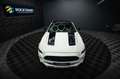 Ford Mustang Shelby GT 500 5.0 V8 PREMIUM *ACC*LED* Weiß - thumbnail 4