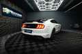 Ford Mustang Shelby GT 500 5.0 V8 PREMIUM *ACC*LED* Weiß - thumbnail 17