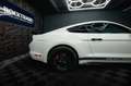 Ford Mustang Shelby GT 500 5.0 V8 PREMIUM *ACC*LED* Weiß - thumbnail 12
