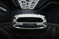 Ford Mustang Shelby GT 500 5.0 V8 PREMIUM *ACC*LED* Weiß - thumbnail 5