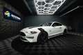 Ford Mustang Shelby GT 500 5.0 V8 PREMIUM *ACC*LED* Weiß - thumbnail 2