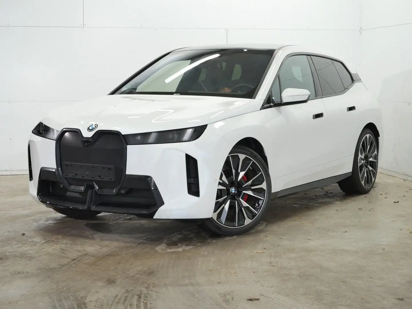 BMW iX xDrive60 M Sportpaket B&W Surround DAB LED Wit - 1