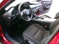 Mazda 3 Skyactive-G122 Comfort+/ST !!! TOPGEBRAUCHTER !!! Rot - thumbnail 20