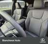 Lexus NX 450h+ 450h Plug-in Hybrid Executive Grigio - thumbnail 12