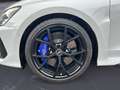 Audi RS4 RS4 Avant quattro tiptronic CompetitionPlus Desi Blanc - thumbnail 12